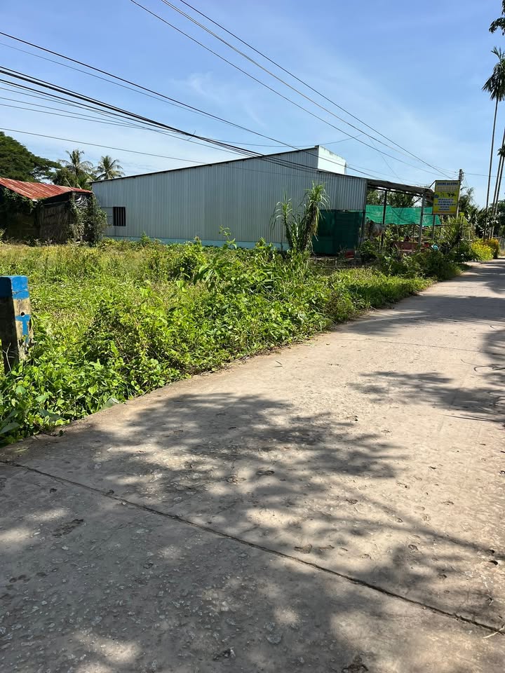 Đất nền ấp Pécđôn 51850m² giá 300 triệu - Sổ hồng đầy đủ, pháp lý rõ ràng!