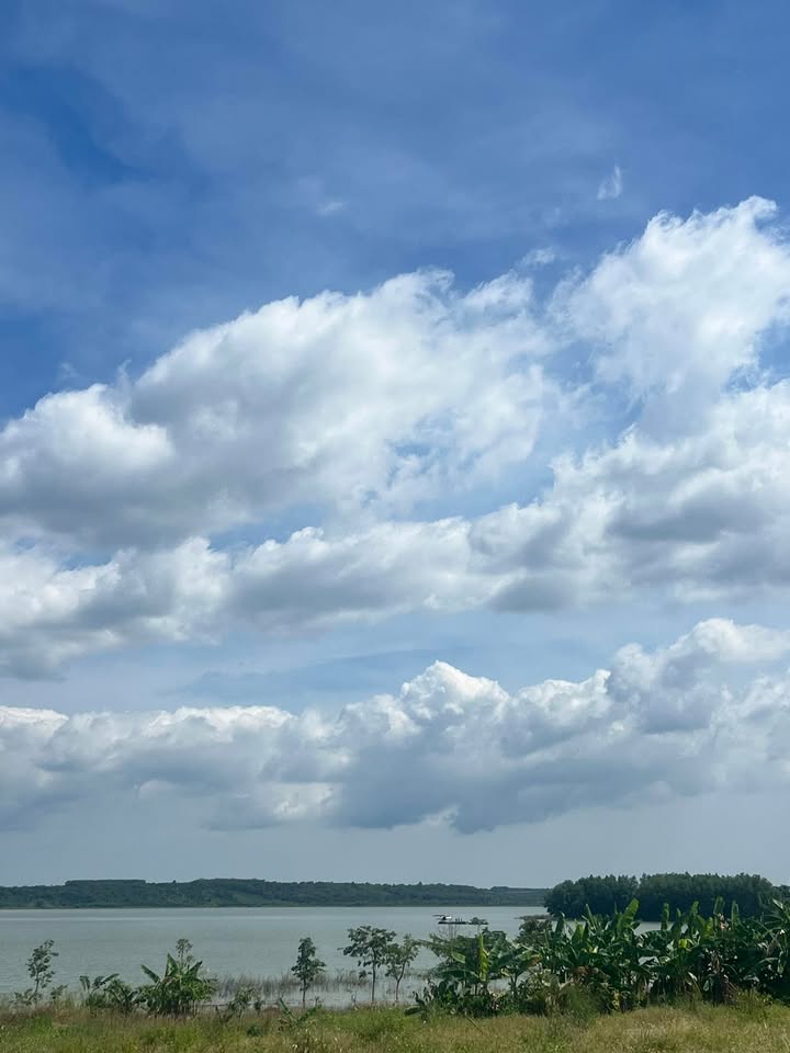 Farm 9.600m² tại Xuân Bảo, Cẩm Mỹ - Giá chỉ 7.68 tỷ, cơ hội đầu tư tuyệt vời!