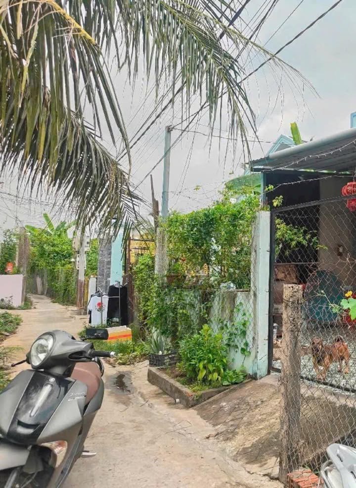 Đất nền Mỹ Lộc, Cần Giuộc 158m² giá 890 triệu - Sổ hồng chính chủ!