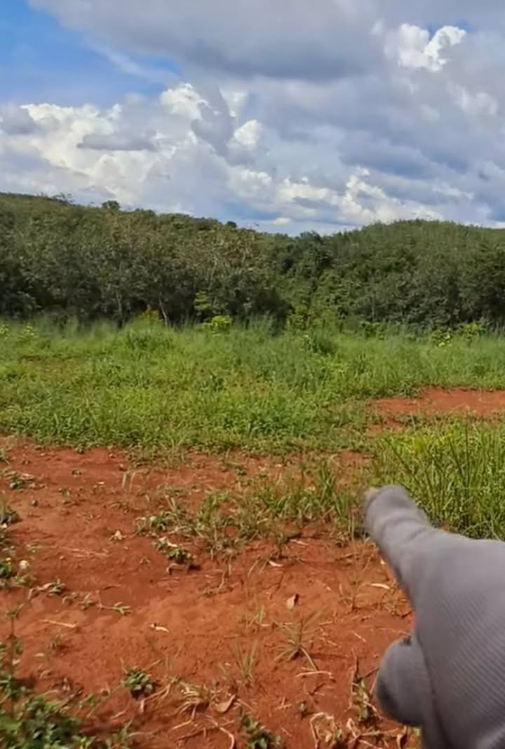 Đất nền ấp 6 xã Đồng Tiến 1125m² chỉ 100 triệu - Mua ngay kẻo lỡ!