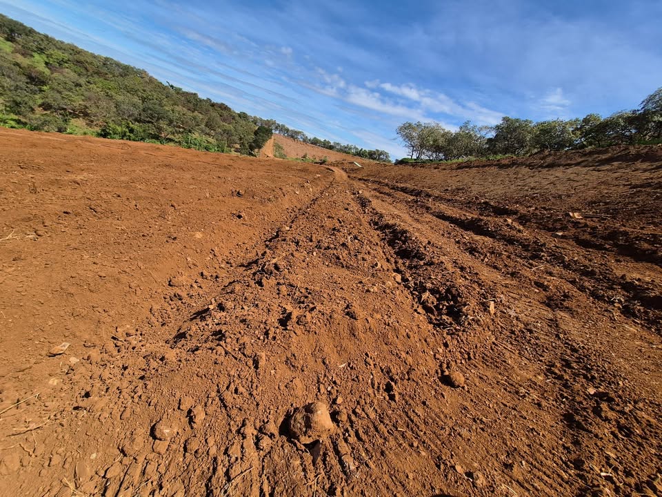 Đất Farm Bù Đăng 26.000m² giá 2.6 tỷ - Đầu tư sinh lời ngay!