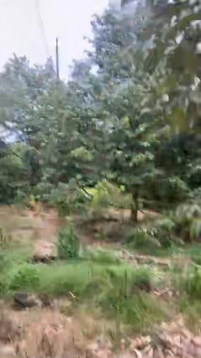 Đất nền 1.9 sào tại xã Phú Lập, Tân Phú giá 999 triệu - Sổ đỏ chính chủ