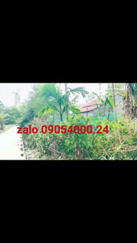 Đất nền Thăng Điền, Hòa Vang, Đà Nẵng 1000m² giá 700 triệu - Đường bê tông ô tô vào tận nơi!