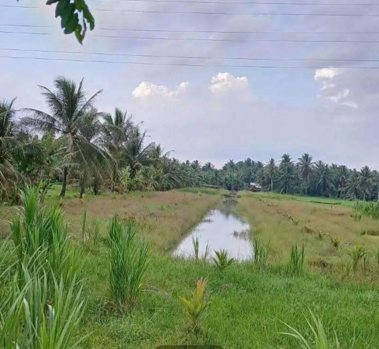 Đất nền mặt tiền đường 173, Sơn Đông, Bến Tre 3500m² - Giá 12.5 tỷ, vị trí đắc địa!