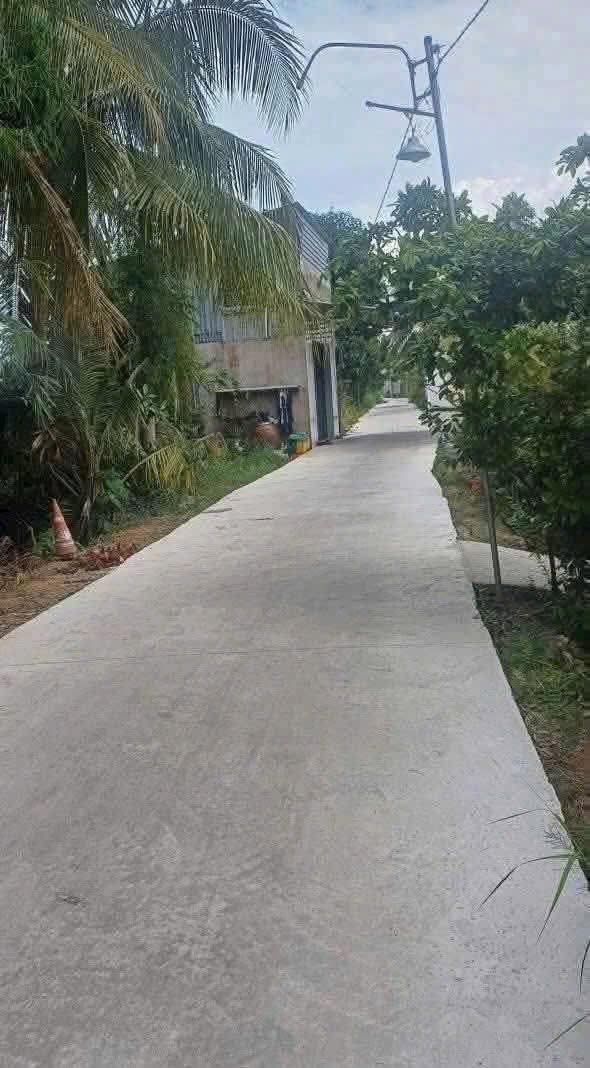 Đất vườn Nhị Quý, Cai Lậy 500m² giá 650 triệu - Đầu tư sinh lời ngay!