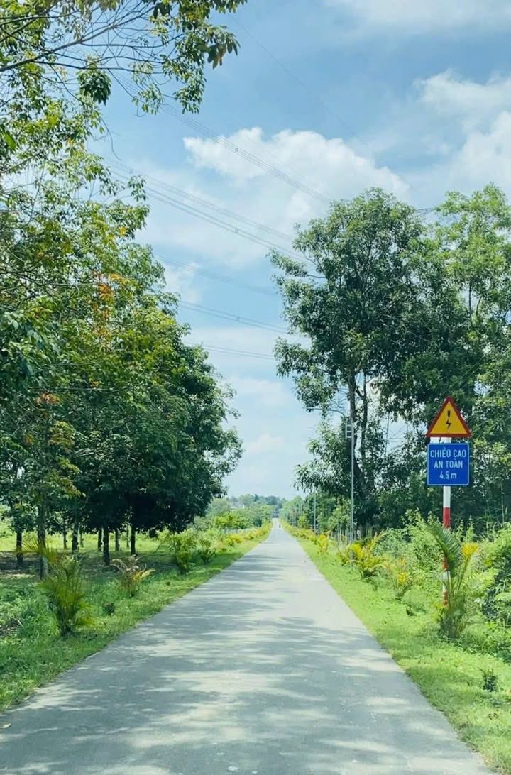 Đất nền Suối Cao, Xuân Lộc 12.000m² giá 1,08 tỷ - Đầu tư sinh lời hoặc xây nhà vườn lý tưởng!