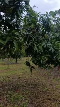 Đất thổ cư La Ngà Đồng Nai 1236m² - Giá tốt cho nhà đầu tư!