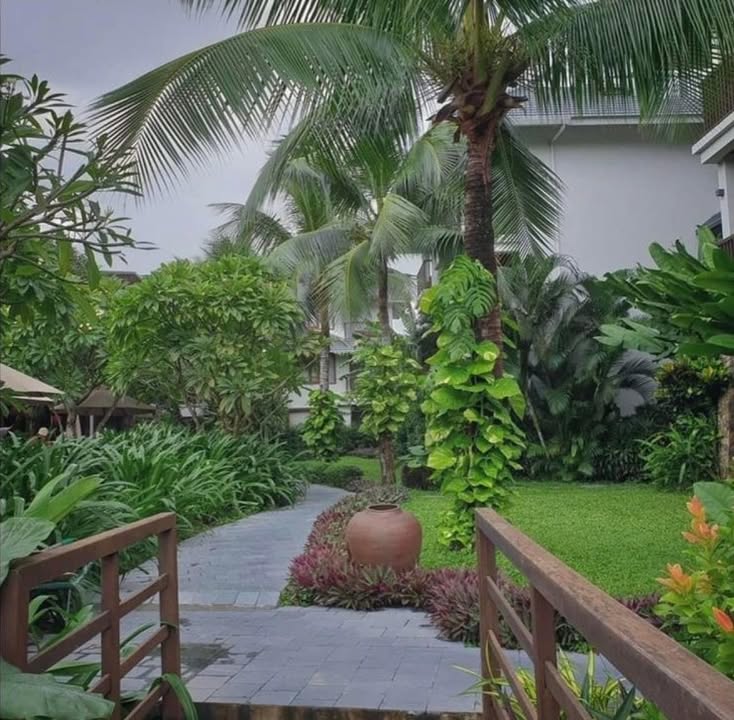 Siêu phẩm resort 4* tại Cẩm Thanh, Hội An - 13.000m² giá 280 tỷ - Cơ hội đầu tư vàng!