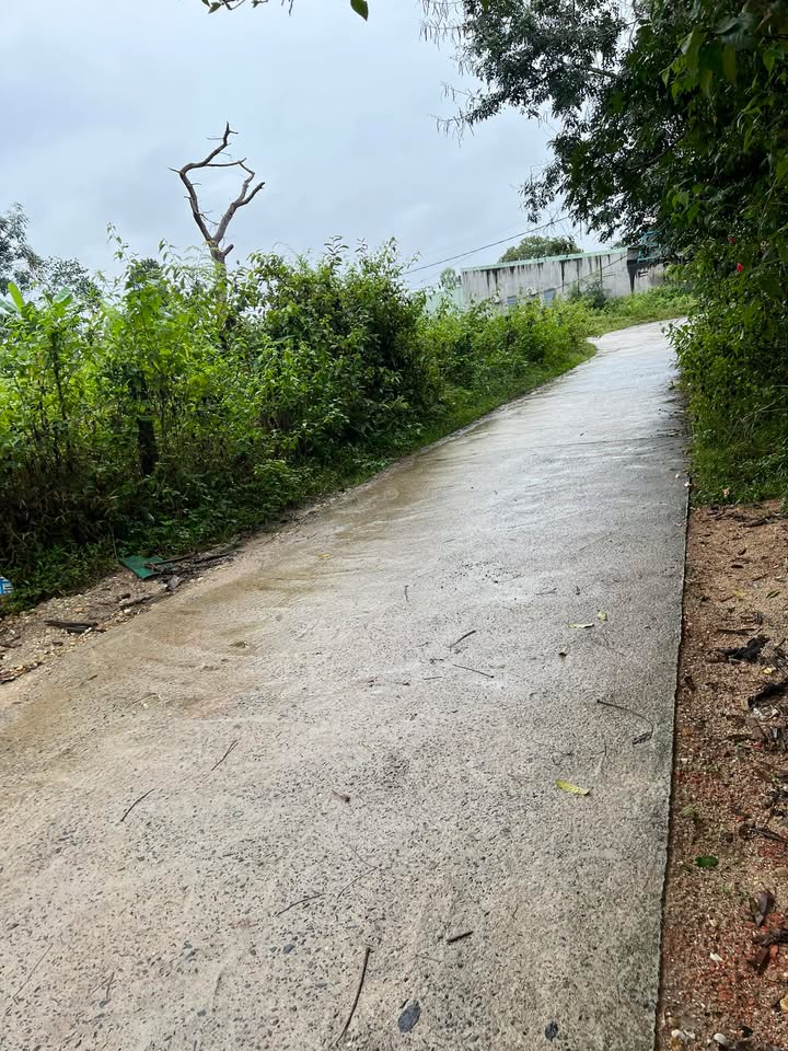 Đất nền Nguyễn Thiện Thuật Kon Tum 150m² giá 4.5 tỷ - Cơ hội đầu tư sinh lời!