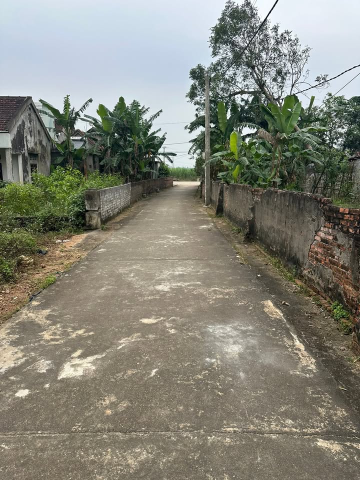 Đất Nghĩa Đồng Tân Kỳ 200m² giá thỏa thuận - Đường rộng, cao ráo