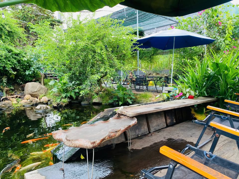Farm quán cafe sân vườn Đất Đỏ 860m² giá 6.9 tỷ - Kinh doanh ổn định ngay mặt tiền!