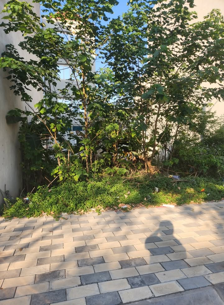 Đất nền Tân Hội Đan Phượng 70m² giá 3 tỷ - Đầu tư sinh lời ngay!