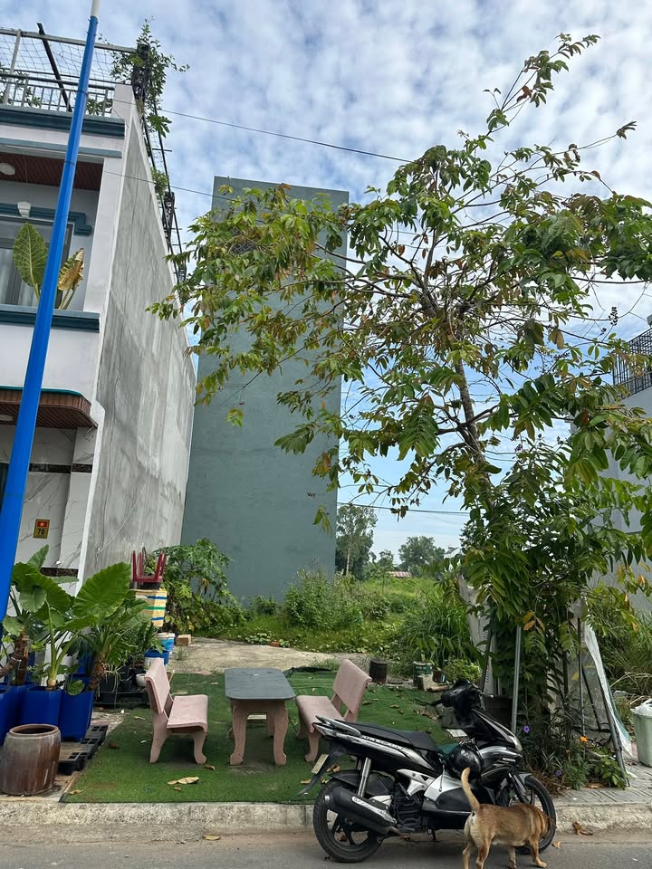 Đất nền khu tái định cư Đông Hòa C, Dĩ An 62.5m² giá 4.55 tỷ - Sổ hồng riêng, thổ cư 100%!