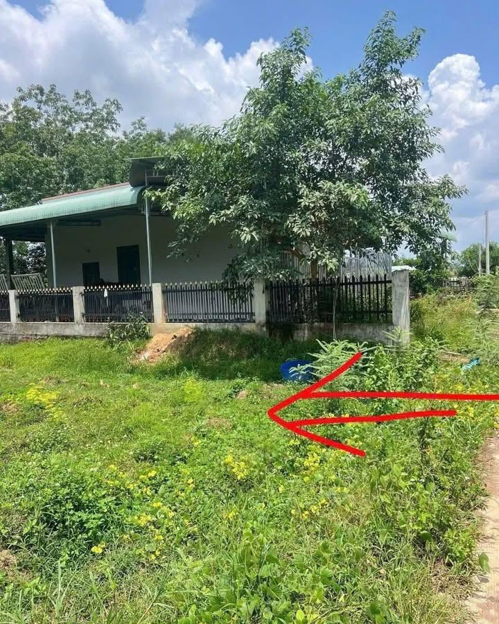 Đất nền 2 sào Tân Lợi Đồng Phú 8000m² giá 600 triệu - View suối tuyệt đẹp!