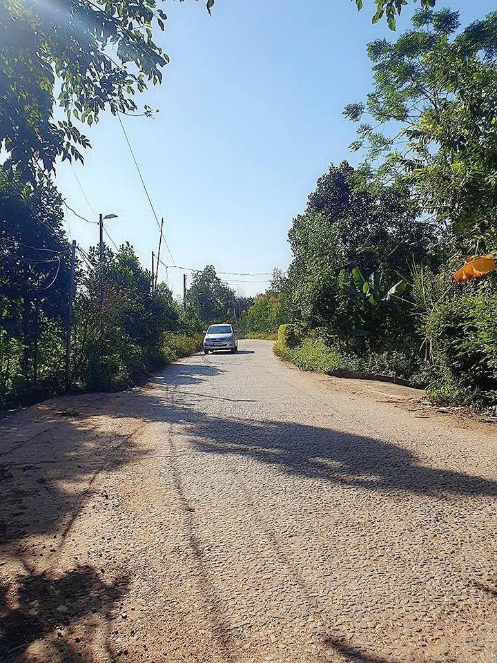 Đất nền Phù Ninh 250m² giá 1 tỷ - Mặt tiền rộng, đầu tư sinh lời!