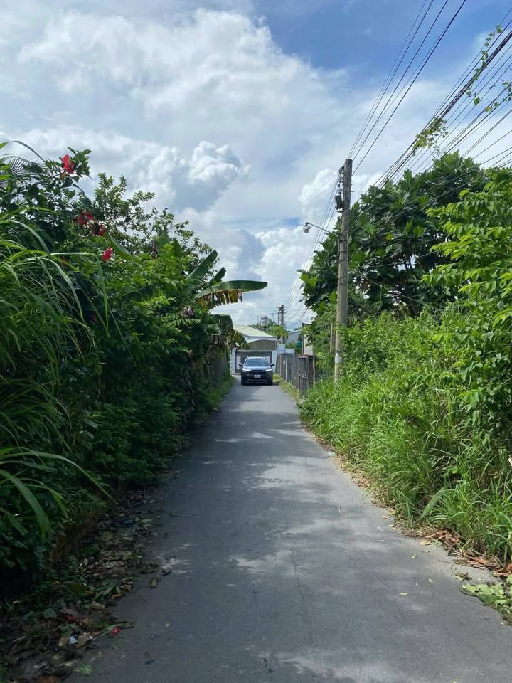 Đất nền KP3, Thị Trấn Châu Thành 361.53m² giá 12.03 tỷ - Vị trí đắc địa gần chợ