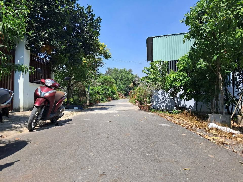 Đất nền 820m² giá 3.9 tỷ tại Tân Thạnh Tây, Củ Chi - Đầu tư sinh lời lý tưởng!