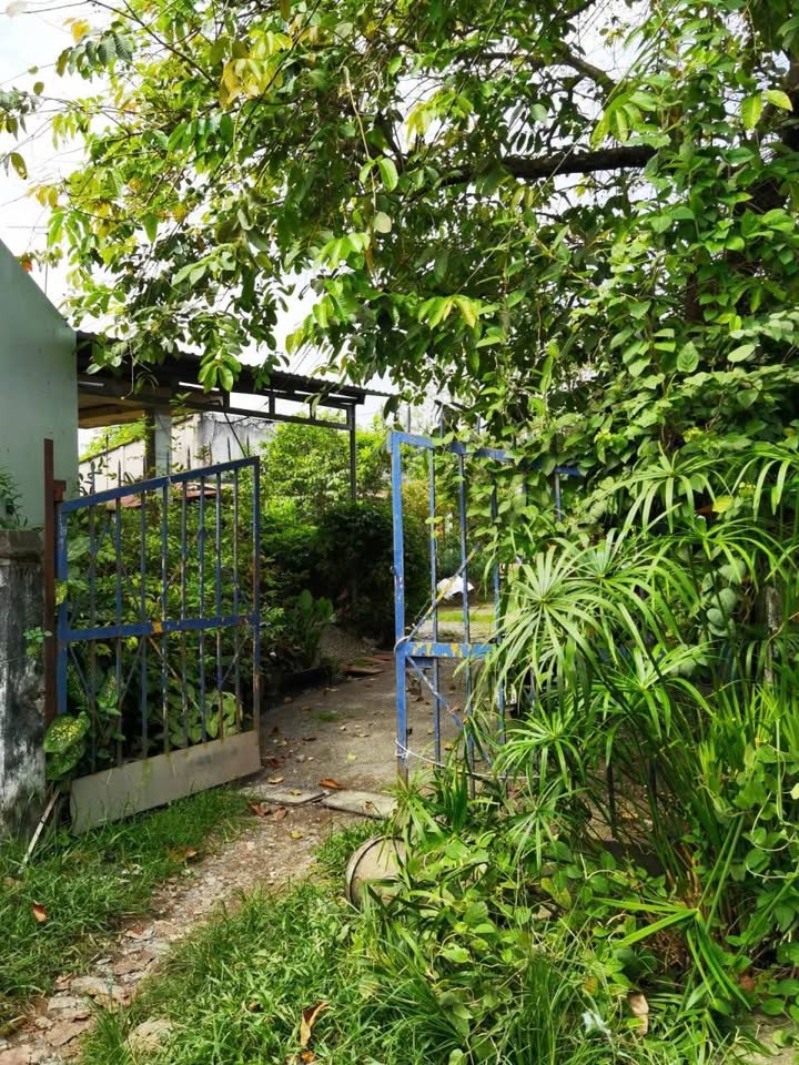 Đất thổ cư 982m² Tân Thới Nhì, Hóc Môn - Tiện xây biệt thự, nhà xưởng!