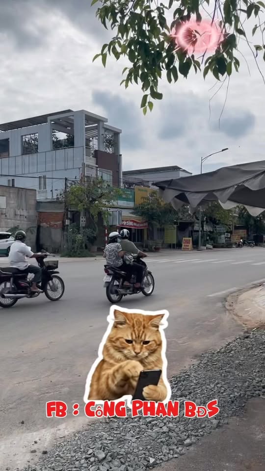 Đất nền 553.5m² gần Chợ Long Hoa, Tây Ninh - Giá chỉ 220 triệu!