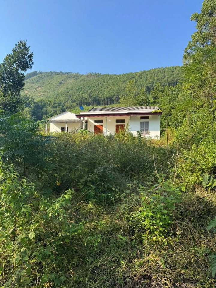 Đất nghỉ dưỡng Đồng Lạc, Yên Lập 5000m² giá chỉ 800 triệu - Sẵn sàng đầu tư!