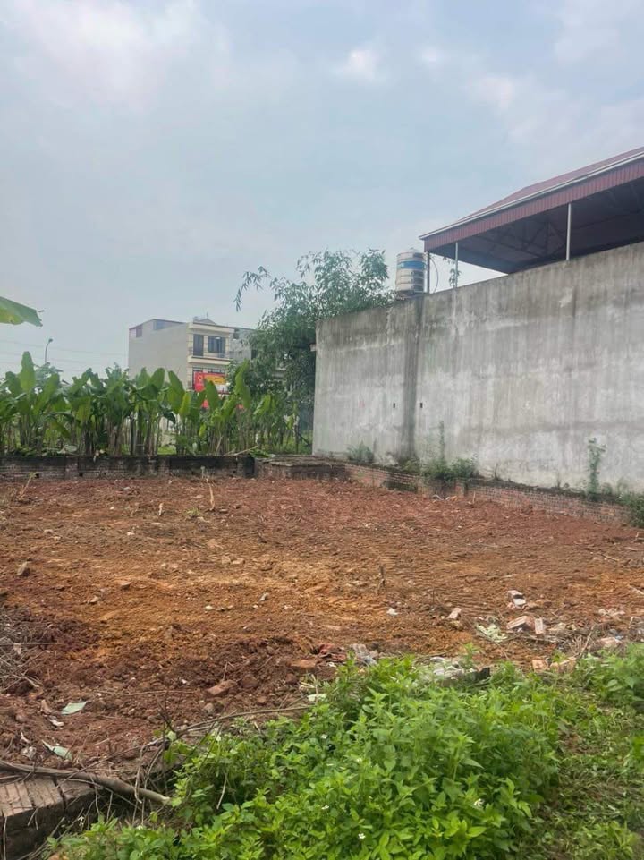 Đất nền Tân Yên Bắc Giang 108m² giá chỉ 2.xxx - Cơ hội vàng đầu tư!