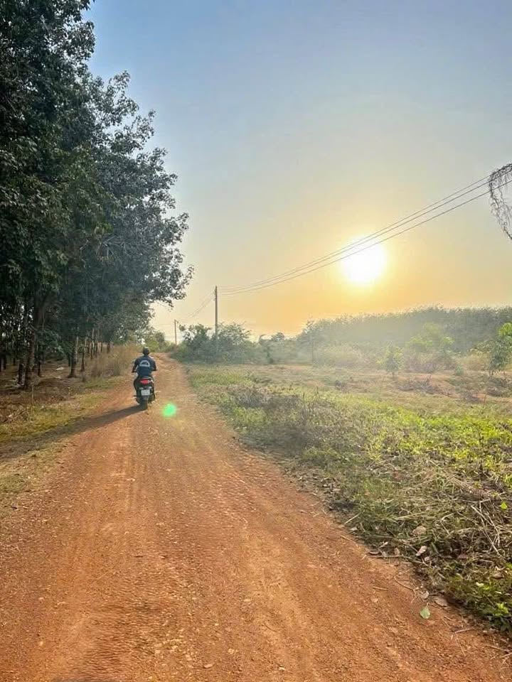 Đất nền 1500m² tại ấp 6, Đồng Tiến, giá 420 triệu - Tiềm năng đầu tư lớn!