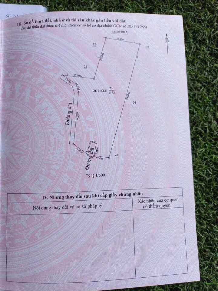 Đất nền Phú Tân, Thủ Dầu Một 1135m² - Cơ hội đầu tư hiếm có!