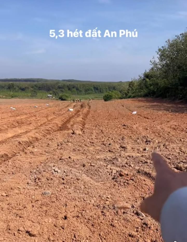 Đất Farm 5,3ha Minh Đức Hớn Quản, Giá chỉ 5.3 tỷ - Tiềm năng phát triển lớn!