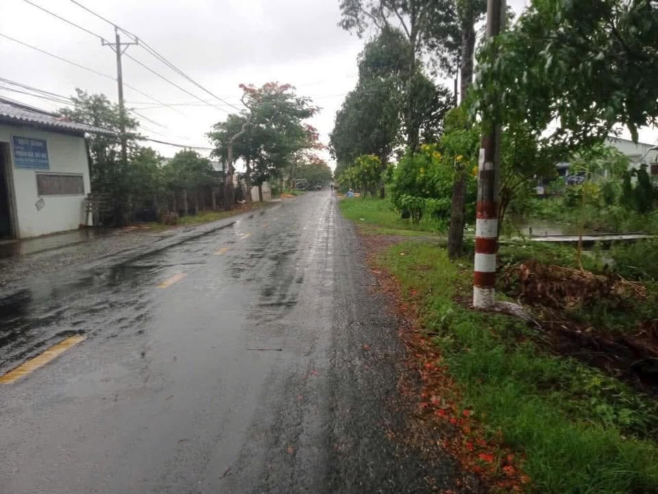 Đất thổ cư 1720m² mặt tiền đường Nguyễn Thông, Long An - Giá chỉ 3 tỷ, thương lượng!