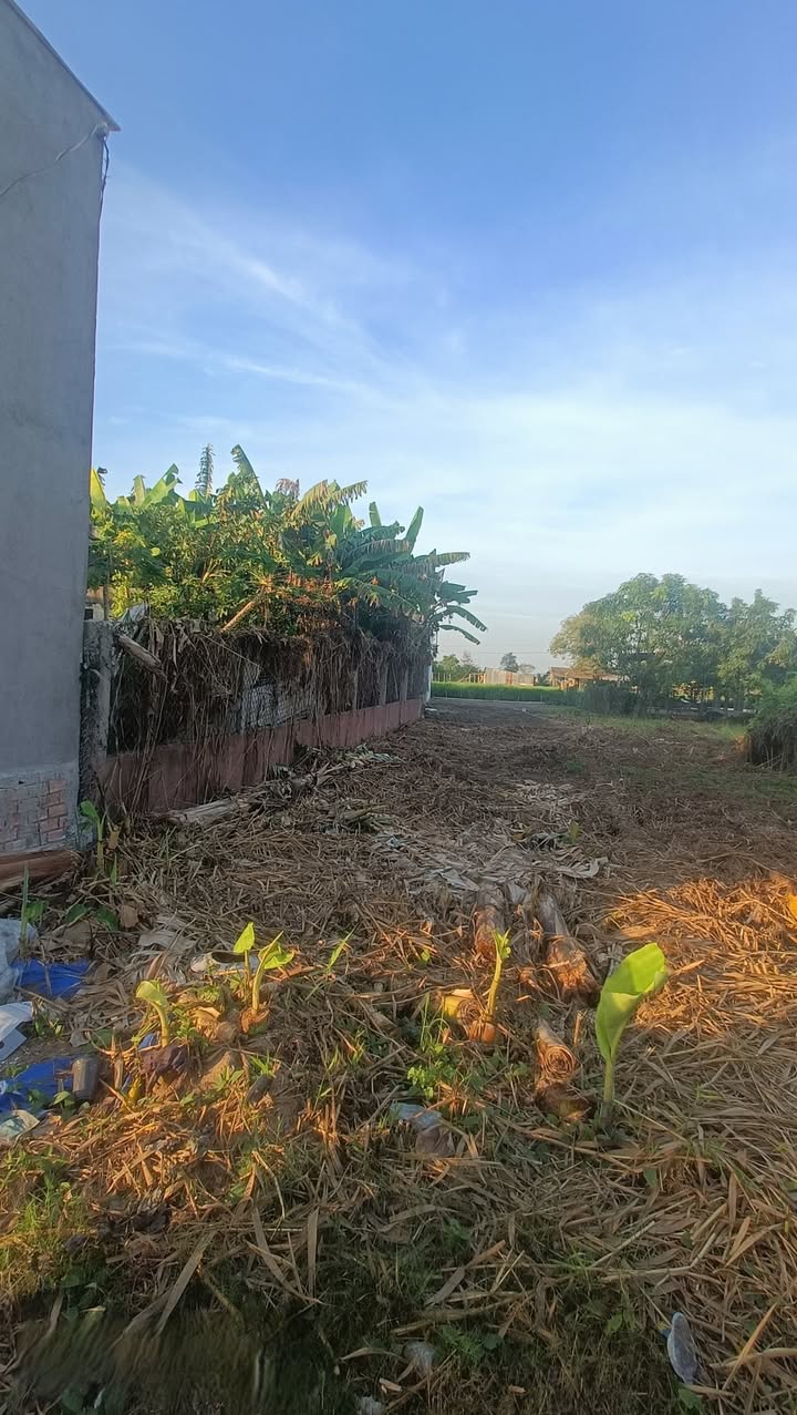 Đất thổ cư Mỹ Lộc 100m² giá 750 triệu - Đường xe hơi thoáng đãng!