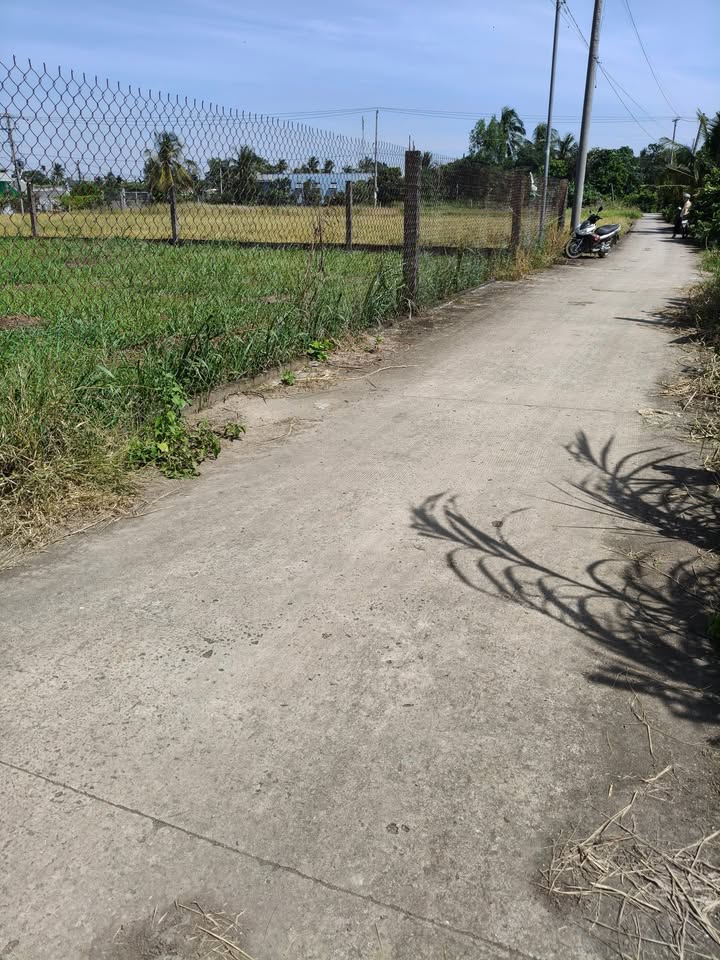 Đất lúa Nhị Thành Thủ Thừa 2900m² giá 1.5 tỷ - Cơ hội đầu tư hấp dẫn!