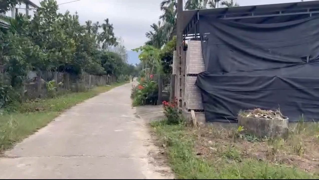 Đất vườn Hành Nhân Nghĩa Hành 1200m² giá 1 tỷ - Đầu tư sinh lời ngay!