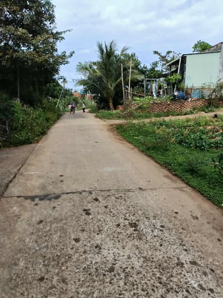 Đất nền 300m² xã Bom Bo, Bù Đăng giá 230 triệu - Đầu tư sinh lời ngay!