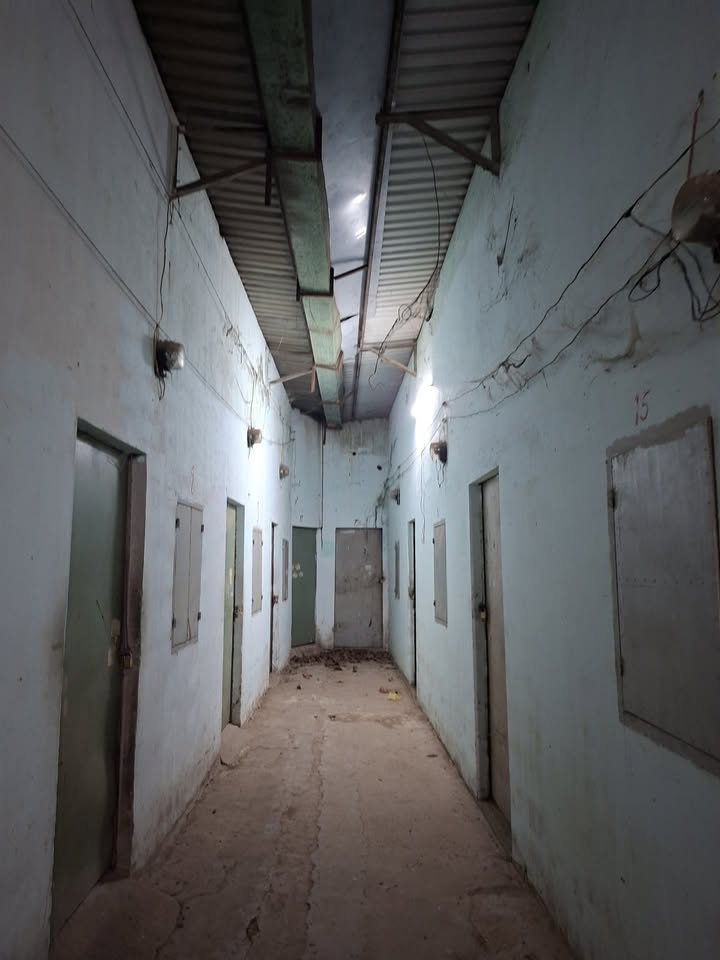 Dãy trọ Tân Bình, Dĩ An 320m² giá 3.3 tỷ - Đầu tư sinh lời ngay!