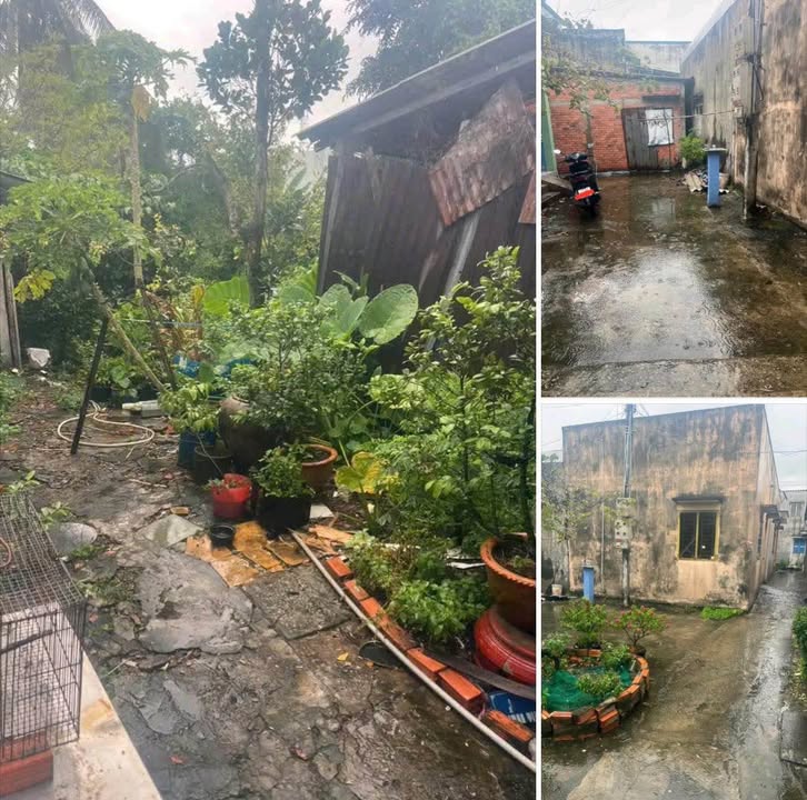 Đất thổ cư 144m² tại xã Nhị Thành, Tây Ninh giá 370 triệu - Sổ hồng chính chủ!