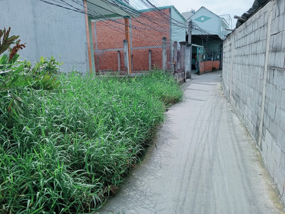 Bán đất thổ cư Long Hiệp, Bến Lức 160m² giá 1.3 tỷ - Tiềm năng đầu tư cao!