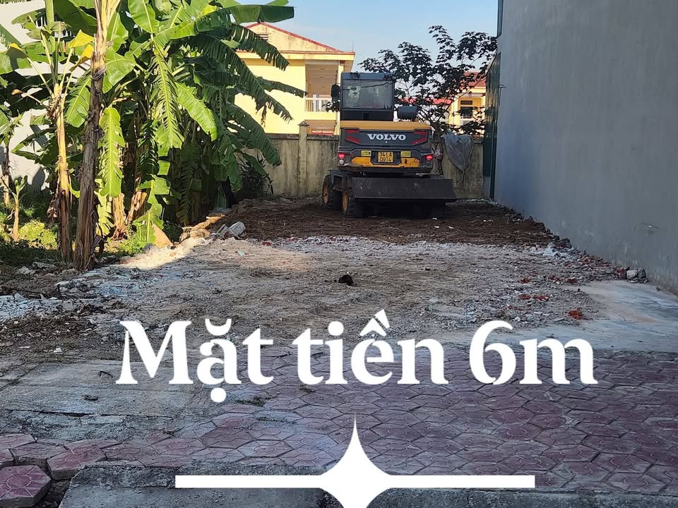 Đất đấu giá Tứ Minh, Hải Dương 132m² giá 3.5 tỷ - Cơ hội đầu tư tiềm năng!