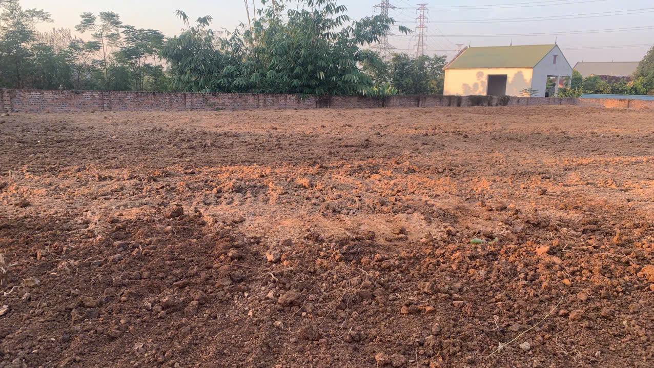 Đất nền Phượng Lâu Việt Trì 1100m² giá thỏa thuận - Cơ hội đầu tư tuyệt vời!