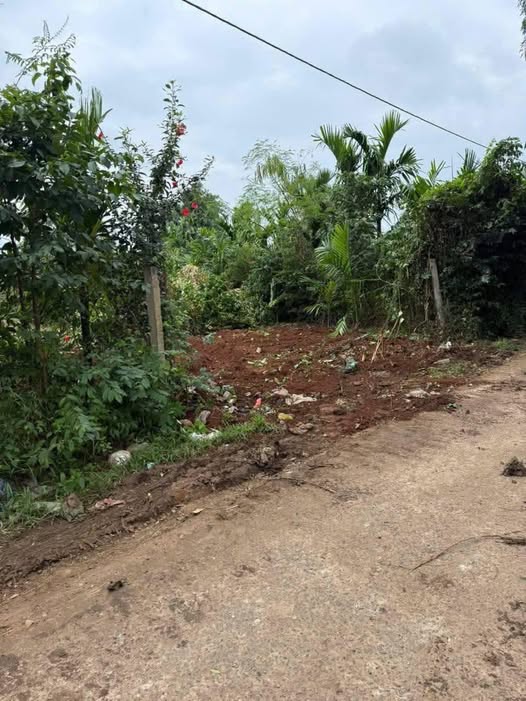 Đất nền Ea Phê, Krông Pắc 170m² giá 500 triệu - Đầu tư sinh lời nhanh chóng!