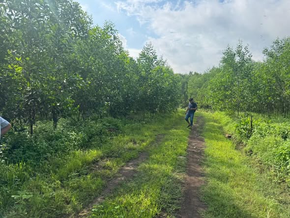 Đất nền Xuân Thành 10066m² giá 360 triệu - Sổ hồng trao tay!