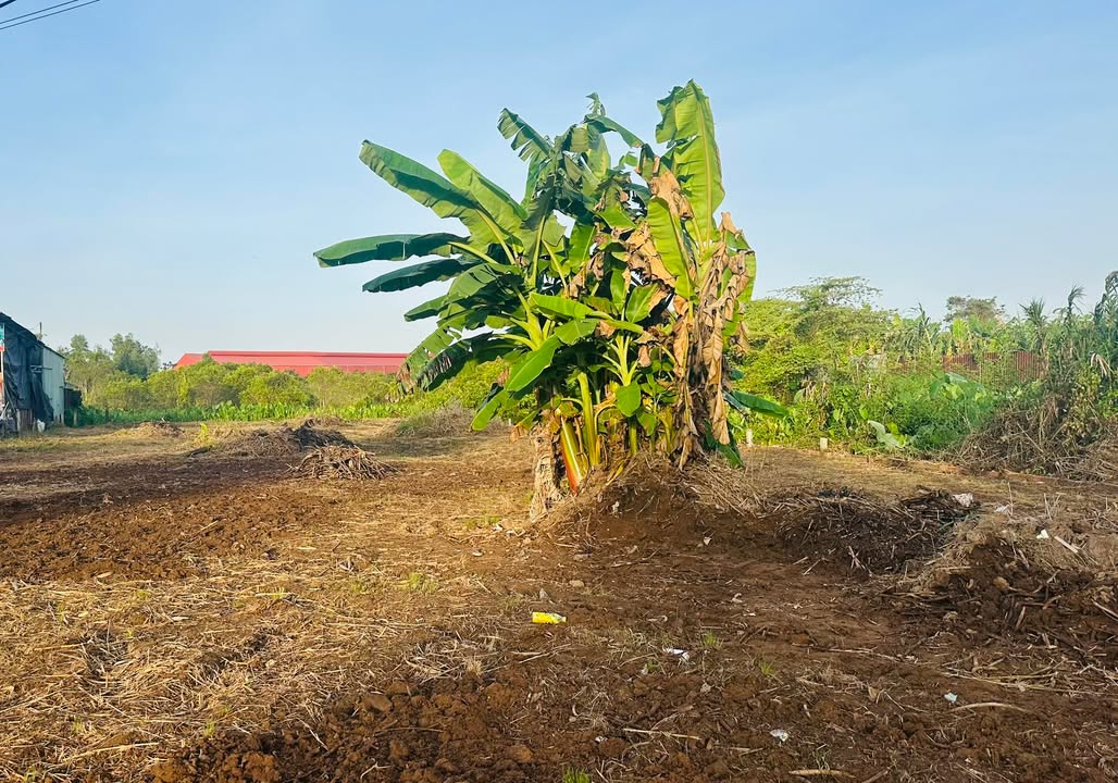 Đất mặt tiền Quốc Lộ 61C 1169m² giá 7.2 tỷ - Cơ hội đầu tư tuyệt vời!