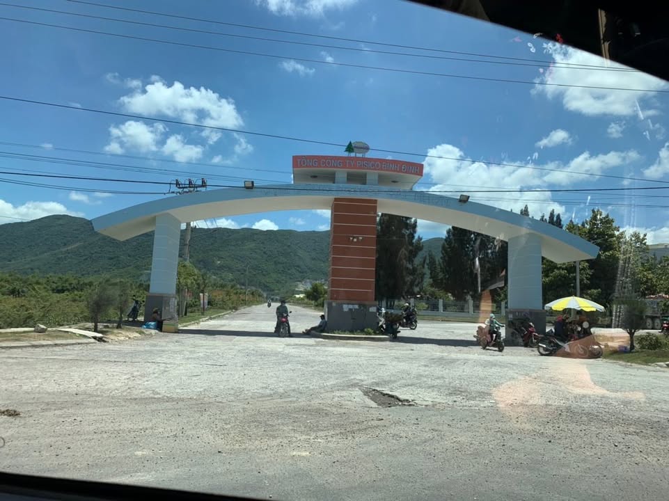 Bán đất rừng sản xuất Cát Nhơn 1945m² giá 100 triệu - Đầu tư tiềm năng!