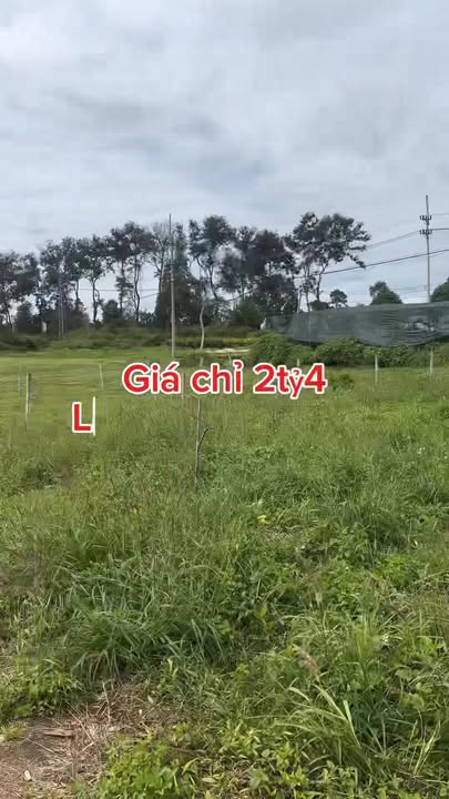 Đất TĐC Trần Hưng Đạo Đắk Mil 250m² giá 2.4 tỷ - Nở hậu đẹp, phong thuỷ tốt!