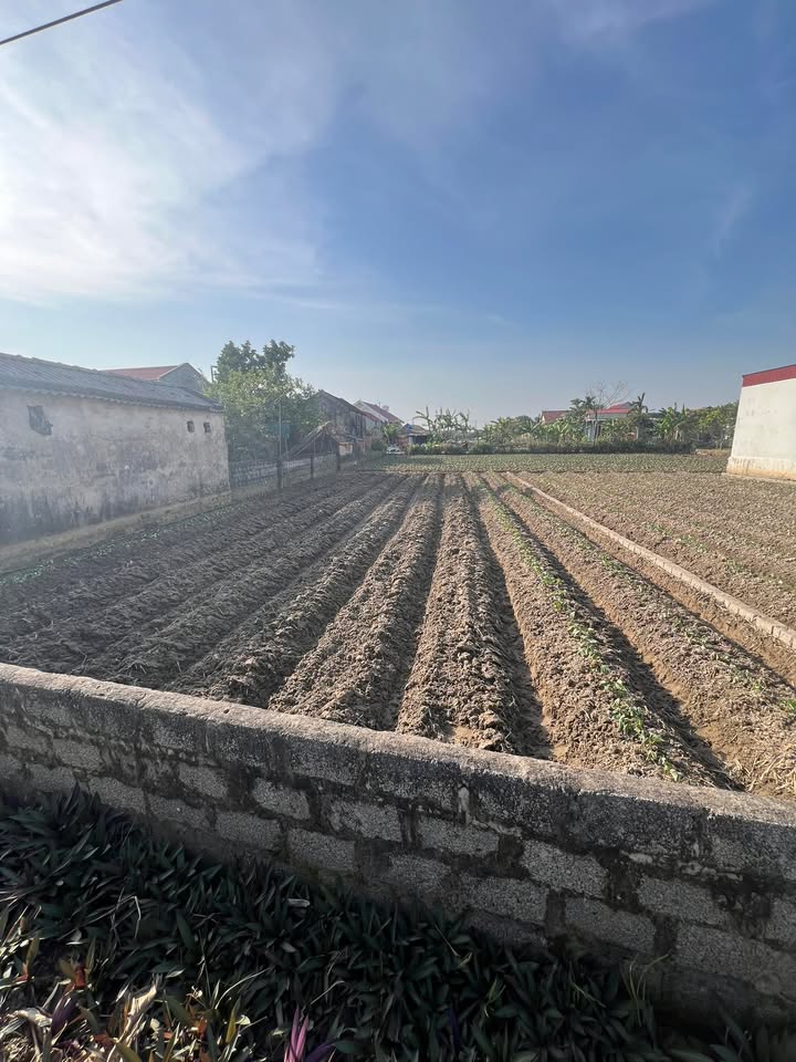 Đất thổ cư Đa Lộc 220m² giá 1.3 tỷ - Đường ô tô vào tận nhà!