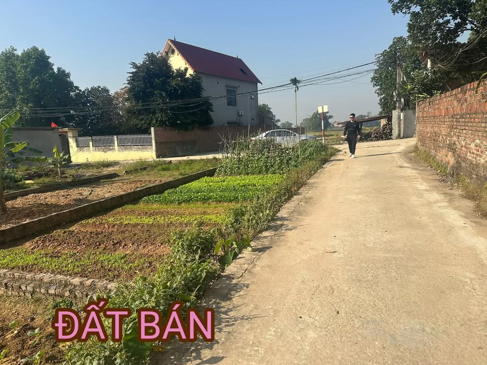 Đất thổ cư 80m² Tân Minh, Sóc Sơn chỉ 1.5 tỷ - Đầu tư sinh lời!