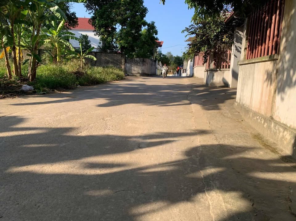 Đất nền TDP Phúc Thắng, Thị trấn Thắng, Hiệp Hòa, 116m² - Cơ hội vàng chỉ 700 triệu!