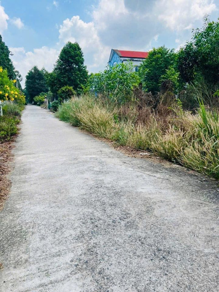 Đất nền Vĩnh Thanh Nhơn Trạch 908m² giá 4.6 tỷ - Đầu tư sinh lời ngay!