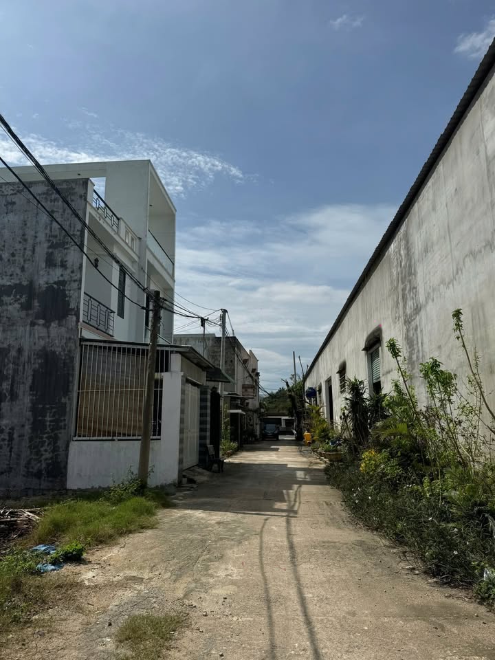 Đất thổ cư Phước Lộc 82m² giá thỏa thuận - Sổ hồng chính chủ, đầu tư sinh lời!