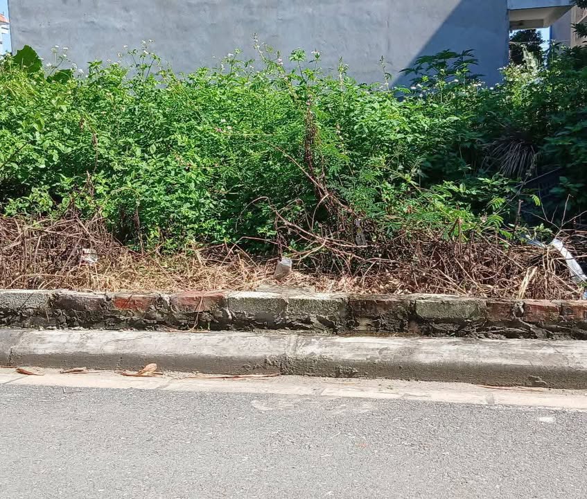 Đất nền Nguyên Khê Đông Anh 47m² giá 4 tỷ - Sổ đỏ chính chủ, giao dịch ngay!