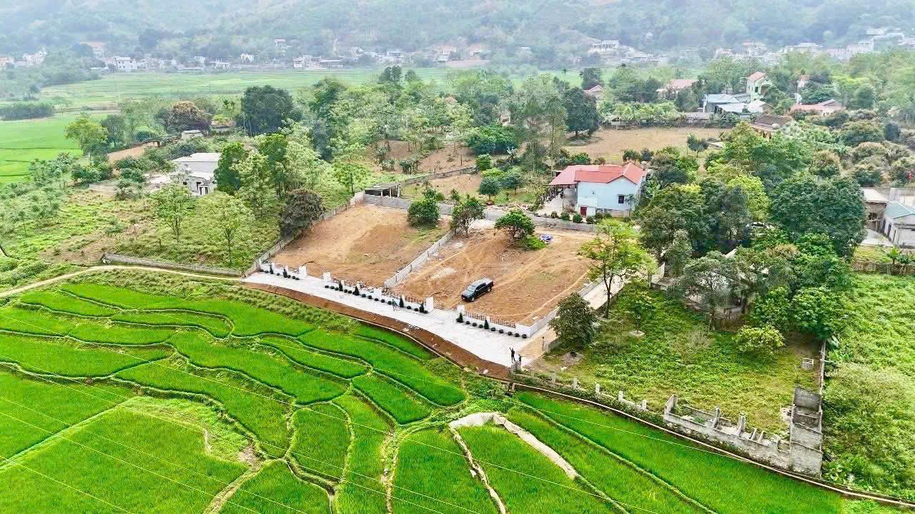 Đất nền lô góc Liên Sơn 1000m² giá 3 tỷ - View cánh đồng và núi đá đẹp mê hồn!